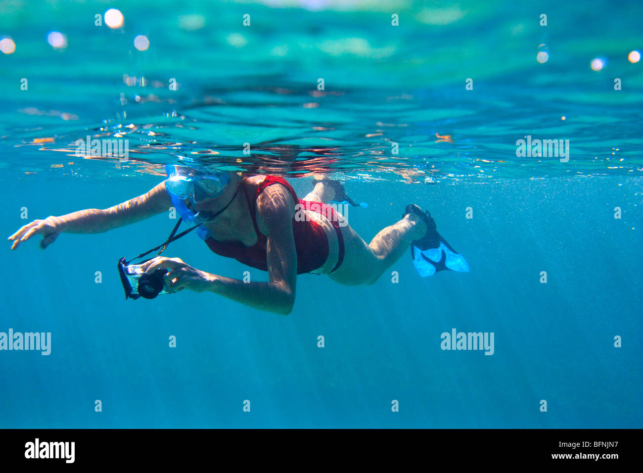 Junge Frau in Schnorchelausrüstung Fotografieren unter Wasser Stockfoto