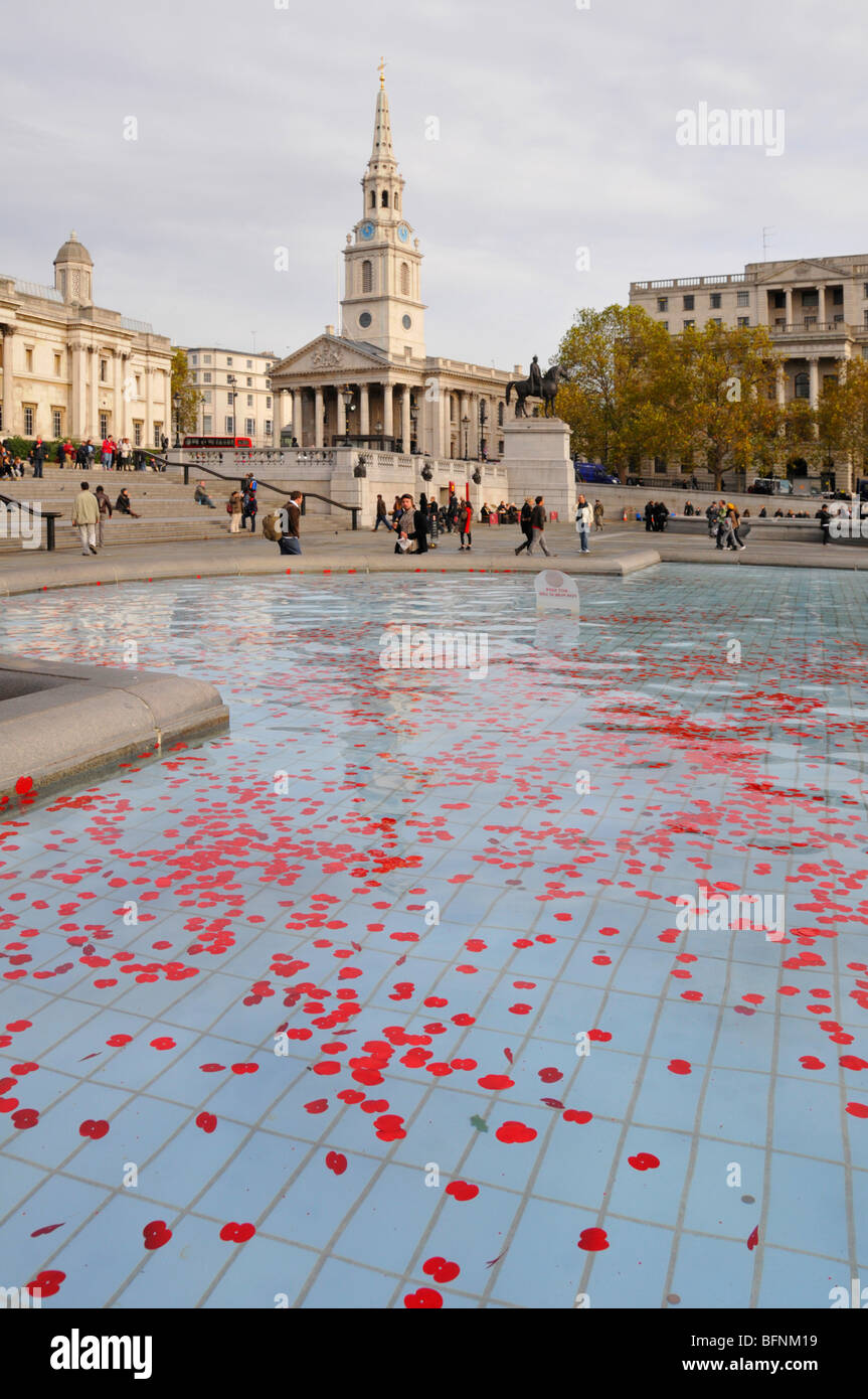 Remembrance Day Mohn schwebend in Brunnen am Trafalgar Square Stockfoto