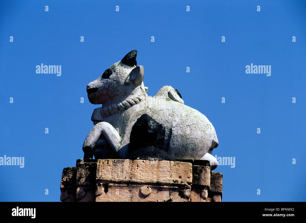 Nandi; Nandin; heiliger Stierkalb, Torhüter, Träger vahana des Hndu Gottes Shiva; Lingaraja Tempel; Bhubaneswar; Orissa; odisha; Indien; asien Stockfoto