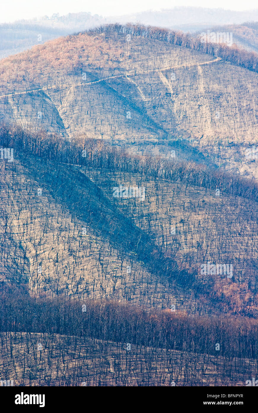Ein Gebirgszug bedeckt im Schlerophyl Wald dezimiert durch einen Brand. Stockfoto