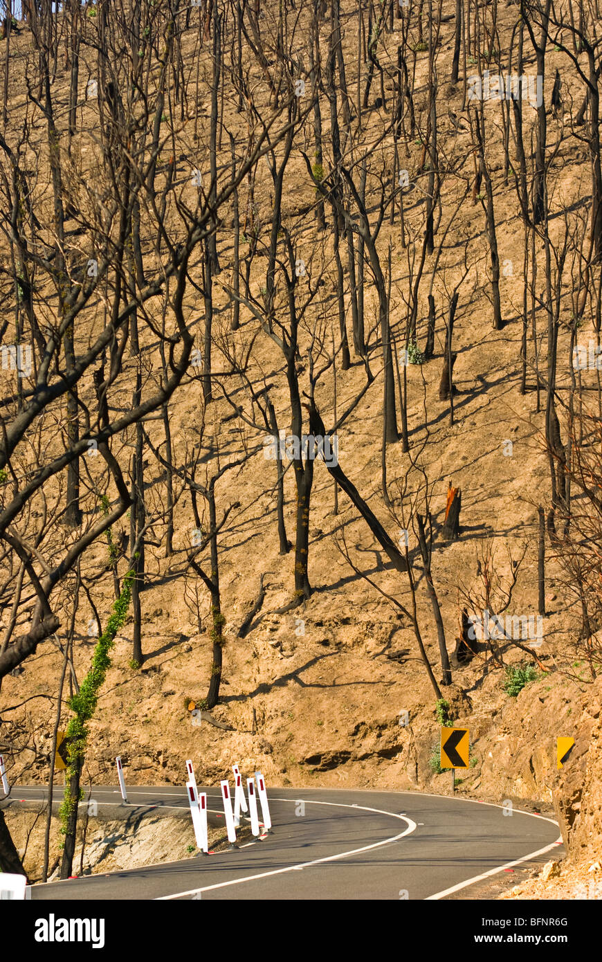 Eine Straße schlängelt sich seinen Weg durch eine steile Passstraße und verbrannten Wald. Stockfoto