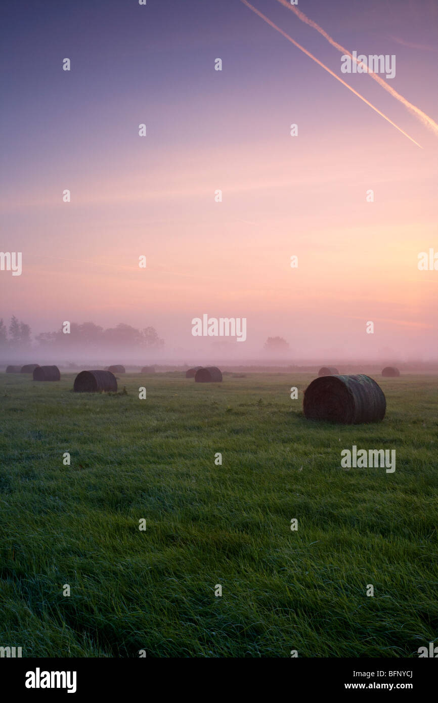 Heuballen im Nebel in der Norfolk-Landschaft in der Dämmerung Stockfoto