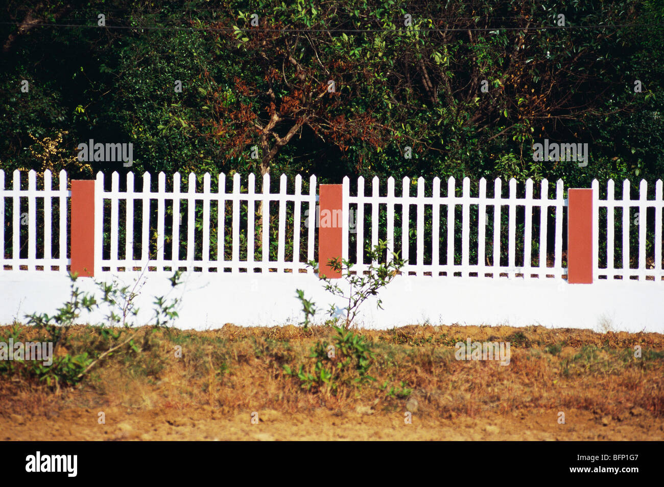 Holzzaun weiß bemalt ; Amboli ; Maharashtra ; Indien ; asien Stockfoto