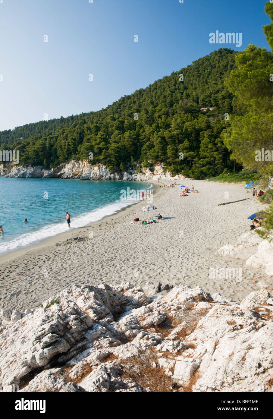 Kastani Beach Skopelos Insel die griechischen Sporaden-Griechenland Stockfoto