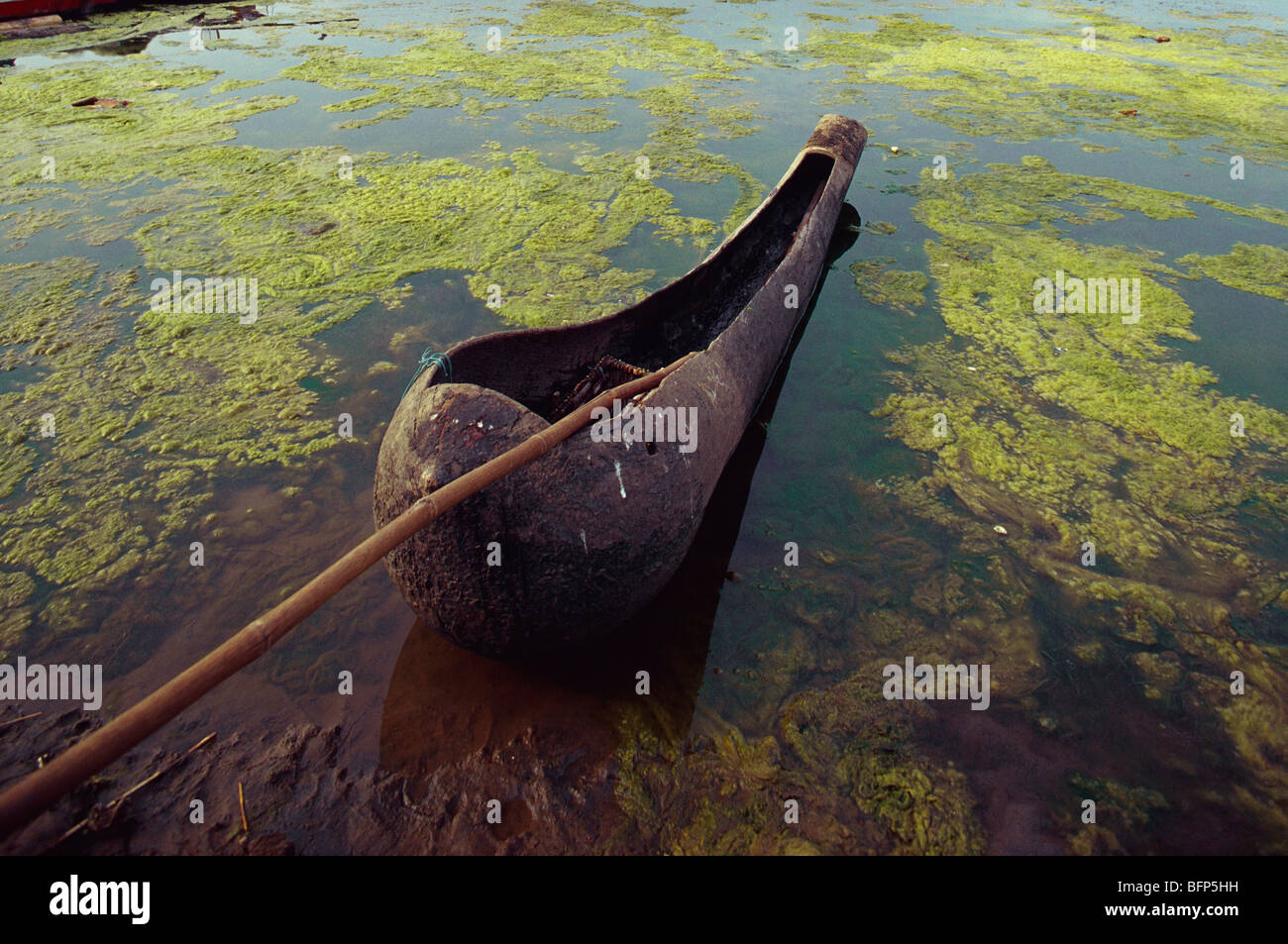 Dugout Kanu; Baum Dugout Boot; Logboot; Monoxylon; Godavari Fluss; Bhadrachalam; Bhadradri Kothagudem; Andhra Pradesh; Telangana; Indien Stockfoto