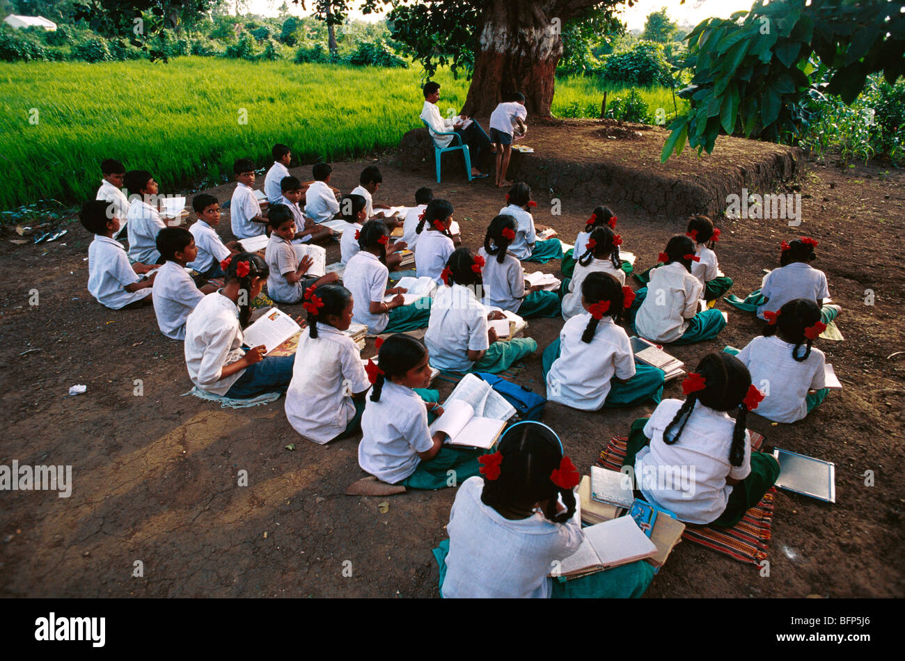 Indische Kindererziehung unter einem Baum; offene ländliche Schule; Gujarat; Indien; Asien Stockfoto