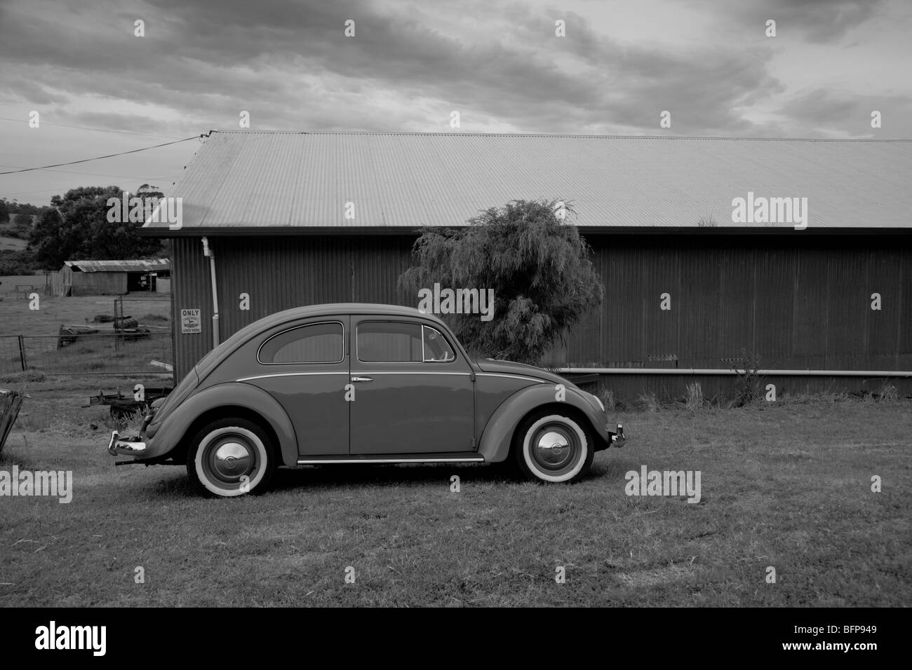 1954-VW-Käfer, Western Australia, Australia Stockfoto