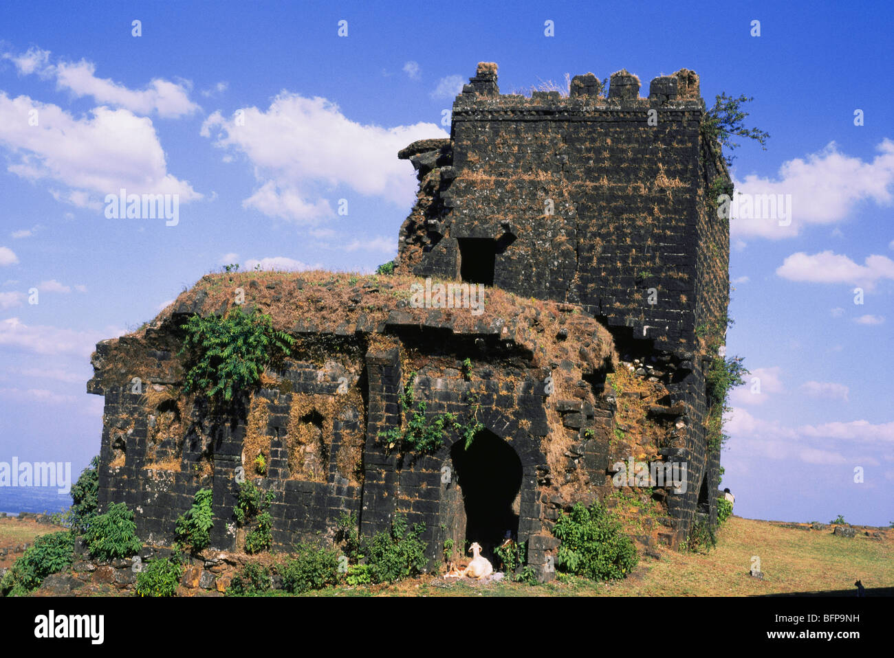 Kalavantin -Fotos und -Bildmaterial in hoher Auflösung – Alamy