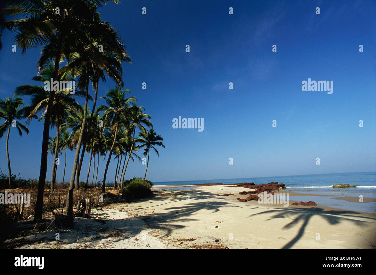 STP 65230: Bhogway Strand; Sindhudurga Bezirk; Maharashtra; Indien Stockfoto