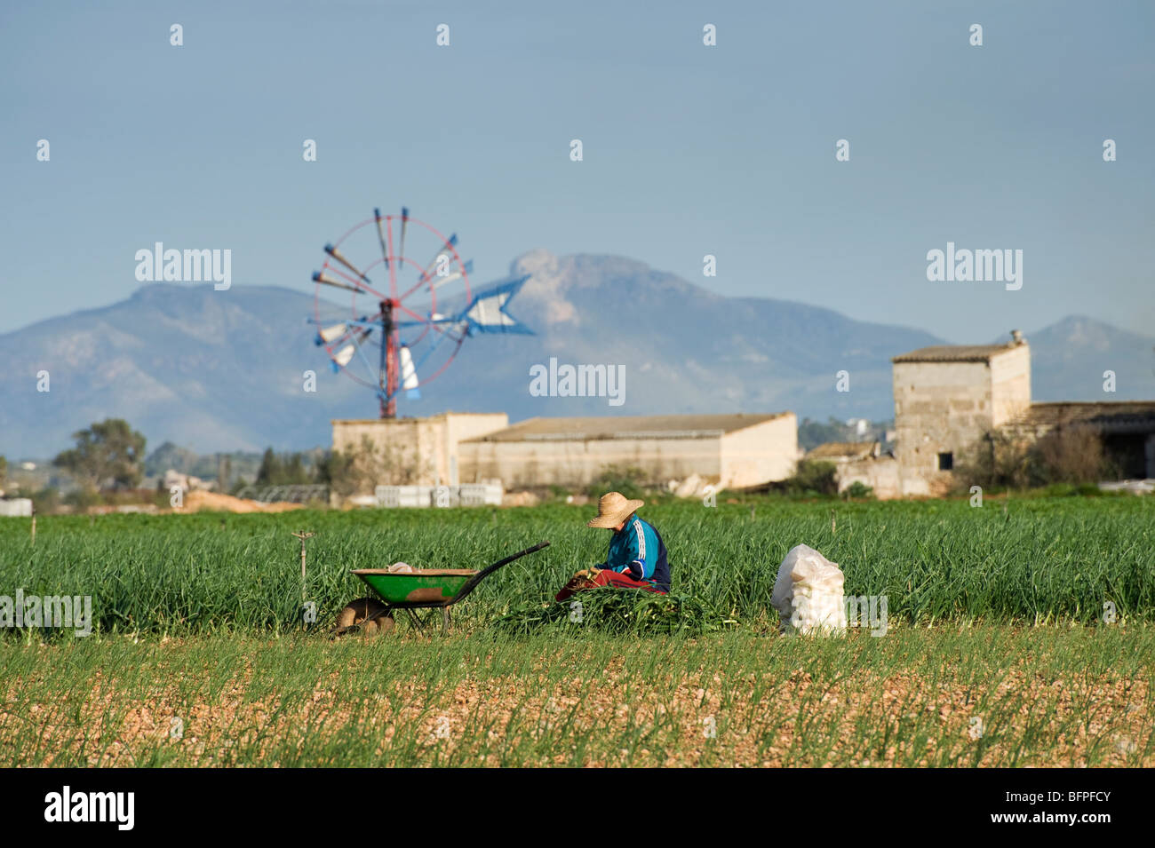 Spanische Landwirtschaft Stockfotos Und Bilder Kaufen Alamy