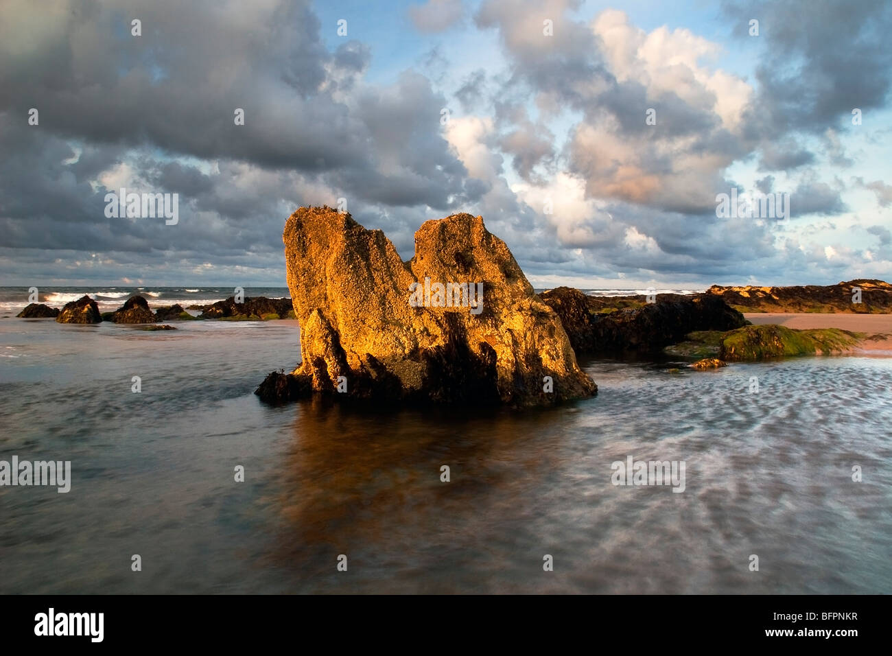 Felsen am Weststrand, in der Nähe von Lossiemouth, Moray, Schottland, Vereinigtes Königreich Stockfoto