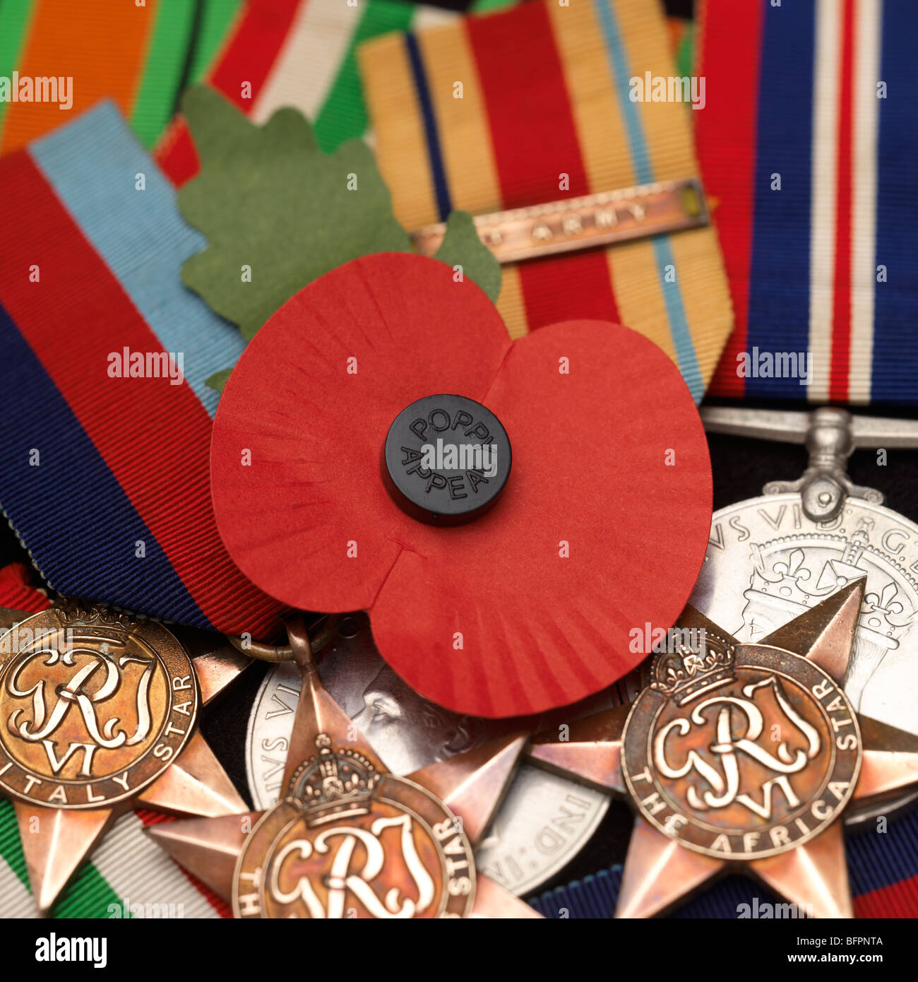 Eine Mohnblume innerhalb einer Gruppe von Krieg Medaillen Stockfoto