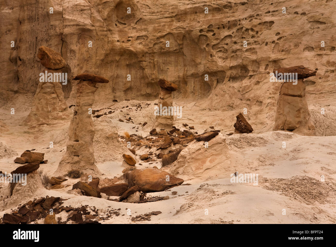 Geologische Formationen der Hoodoos im Rimrock Hoodoo-Becken auf öffentlichen Flächen in Utah, USA Stockfoto