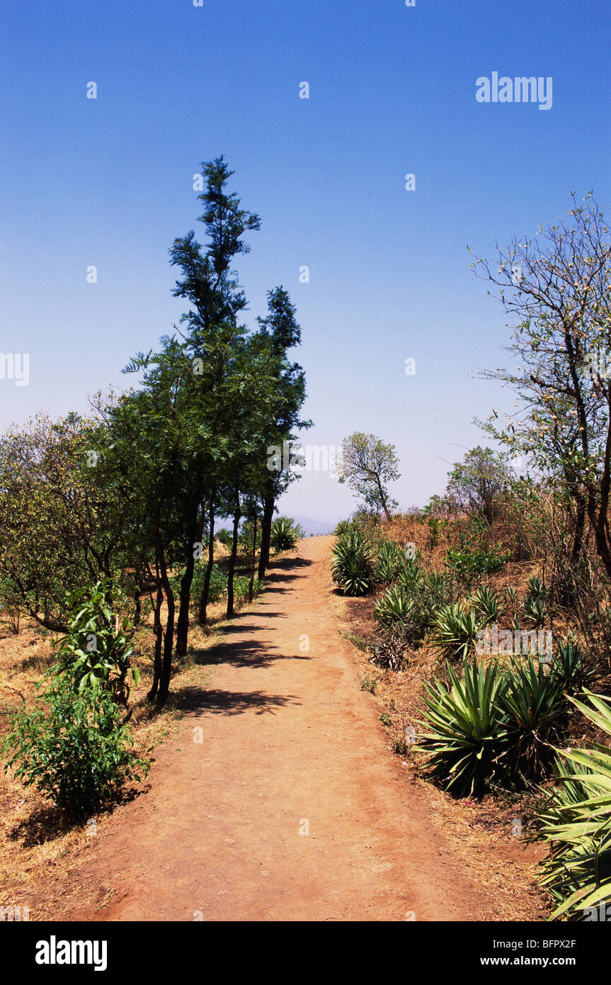 NMK 66555: Rote Weg durch Anbau von Pflanzen; Simha Gad Sinhagarh Fort; Pune; Maharashtra; Indien Stockfoto