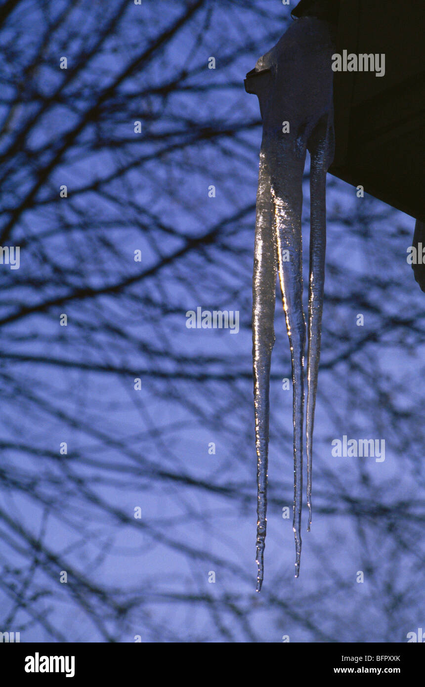 GCP 66719: Eiszapfen Schnee gefroren Stockfoto