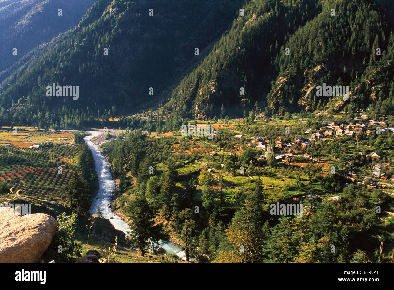 SOM 66974: Batseri Himalayan Dorf; Kinnaur; Himachal Pradesh; Indien Stockfoto