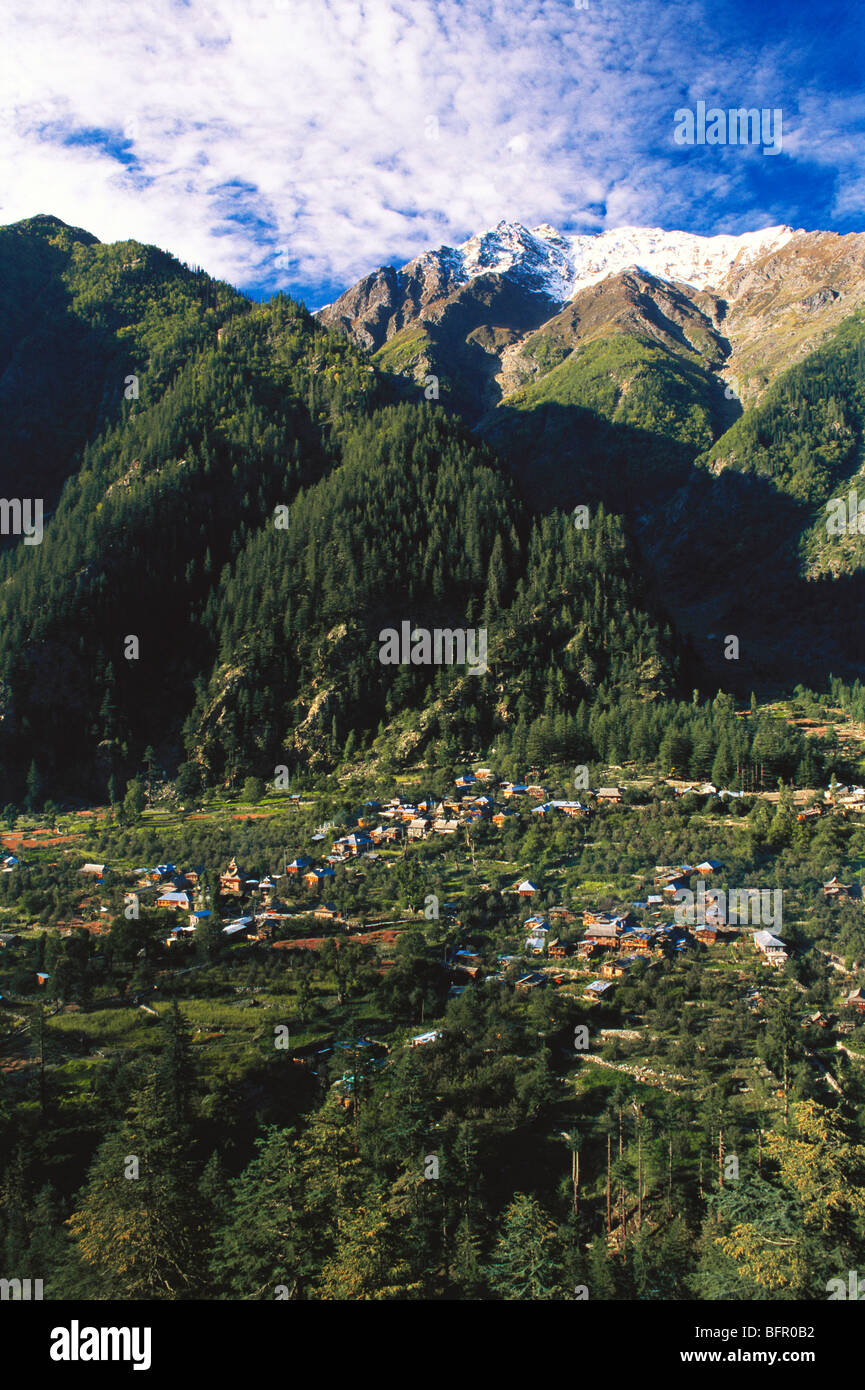 SOM 66976: Batseri Himalayan Dorf; Kinnaur; Himachal Pradesh; Indien Stockfoto