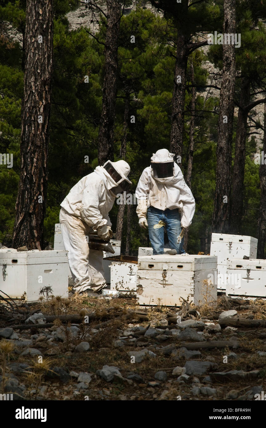 Dh kretischen Berge Wald Landwirtschaft Griechenland Kreta Griechische Imker arbeiten Holzkiste Bienenstöcke Bienenzucht Anzug hive Arbeitnehmer Stockfoto