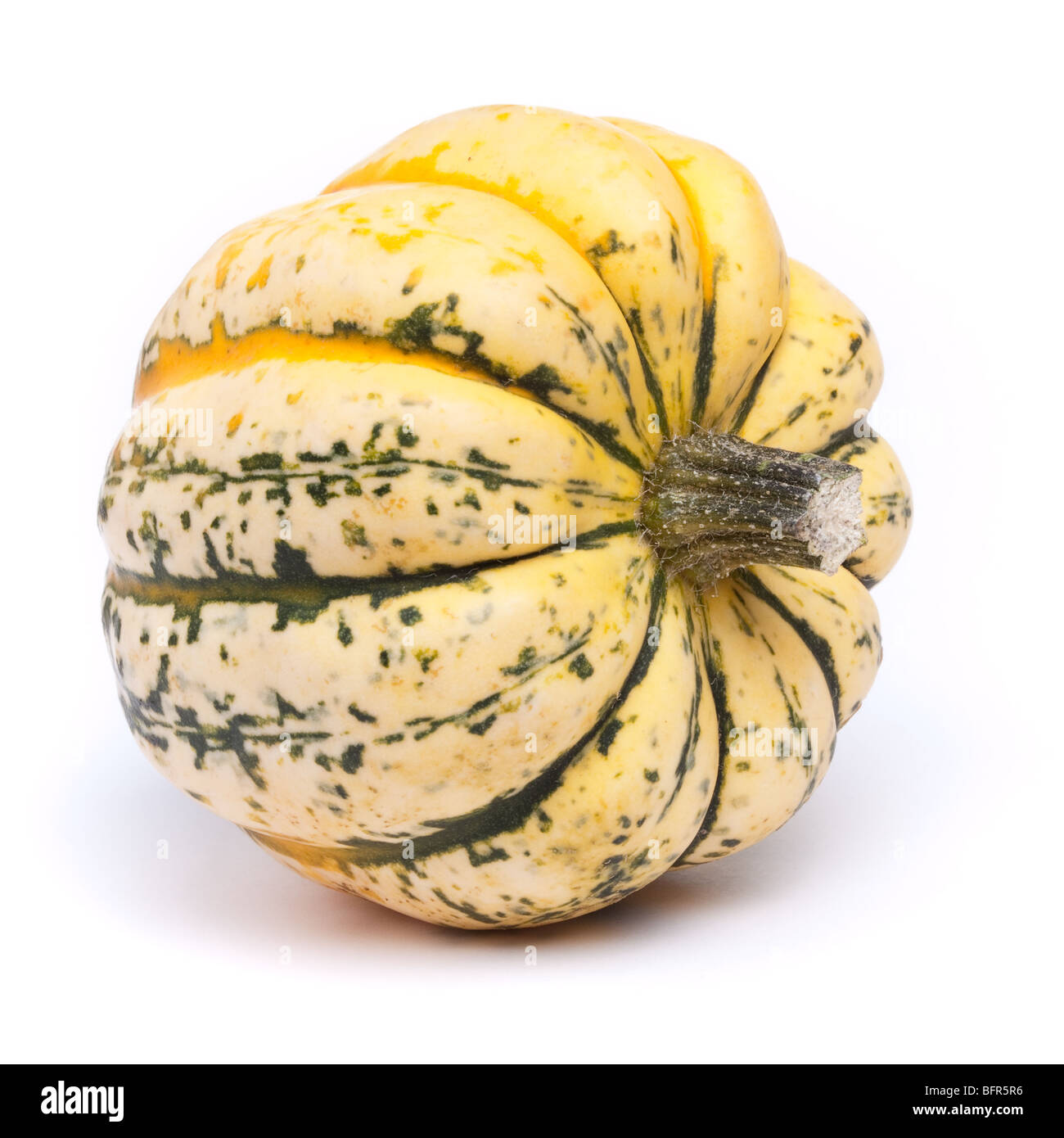 Jazzige Harlequin Squash auf weißen Hintergrund isoliert. Stockfoto
