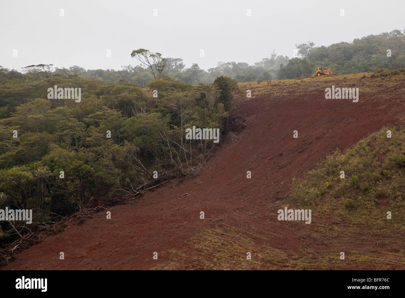 Waldrodung, Atherton Tableland, Queensland, Australien Stockfoto