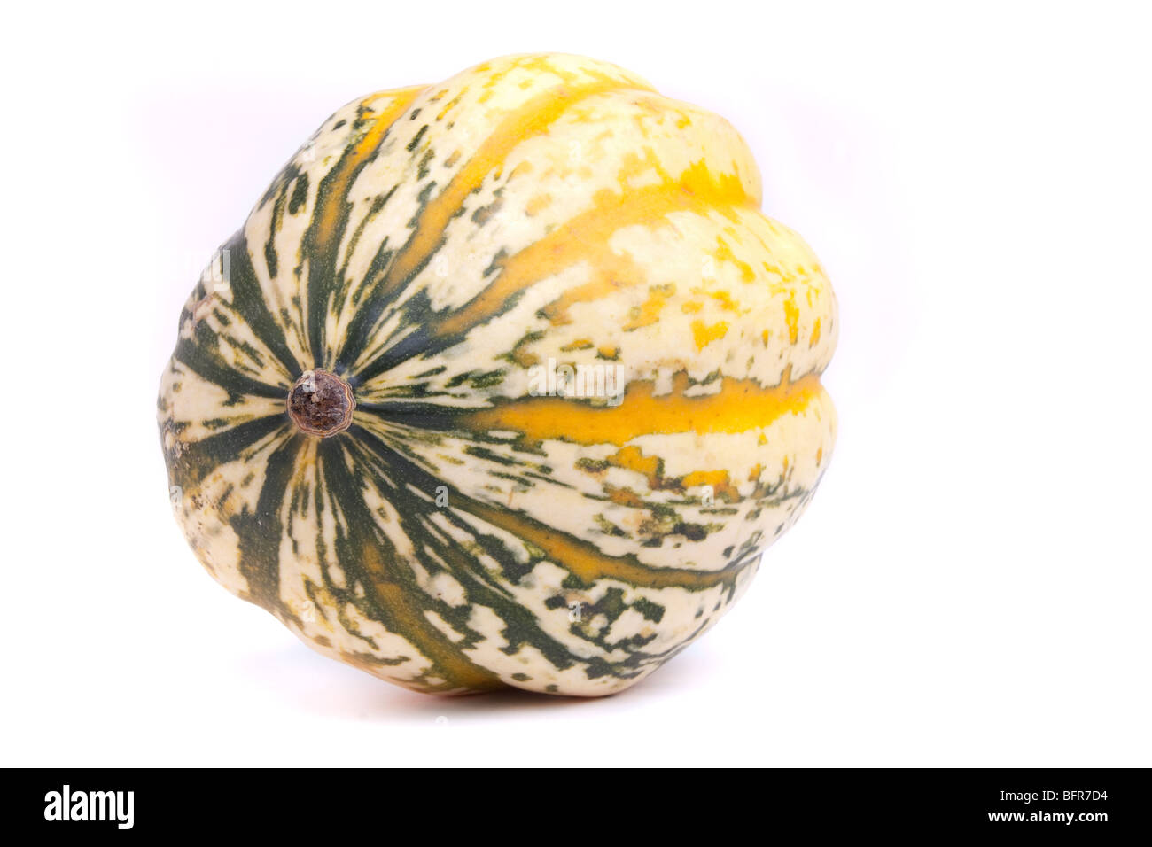 Jazzige Harlequin Squash auf weißen Hintergrund isoliert. Stockfoto