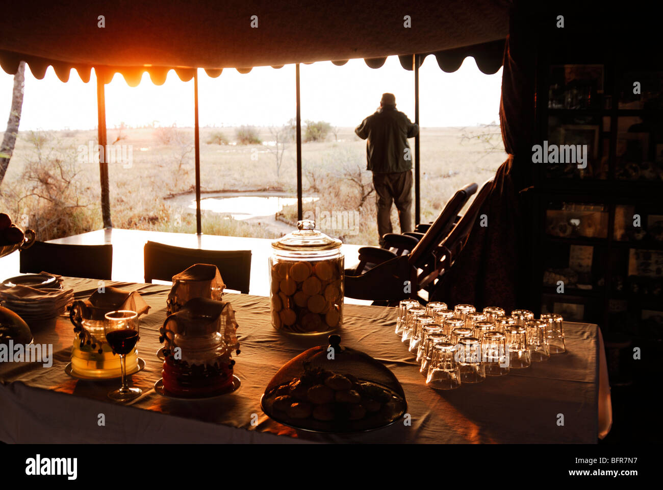 Teetisch und Touristen auf der Suche über die Bushveld im Sonnenuntergang Jacks camp Stockfoto