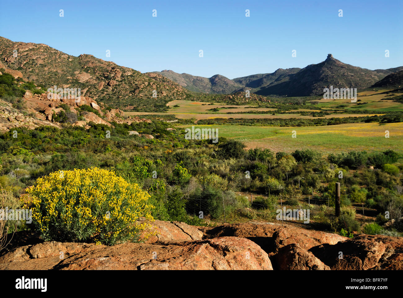 Malerische Aussicht auf Bauernhof mit Kamieskroon Kop im Hintergrund Stockfoto