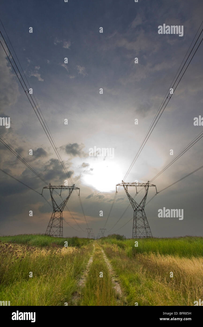 Zwei Linien der Strommasten auf ein Gebiet erstreckt sich in die Ferne Stockfoto