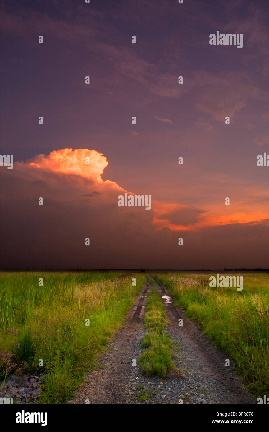 Landschaft mit Feldweg und majestätische Wolken Stockfoto