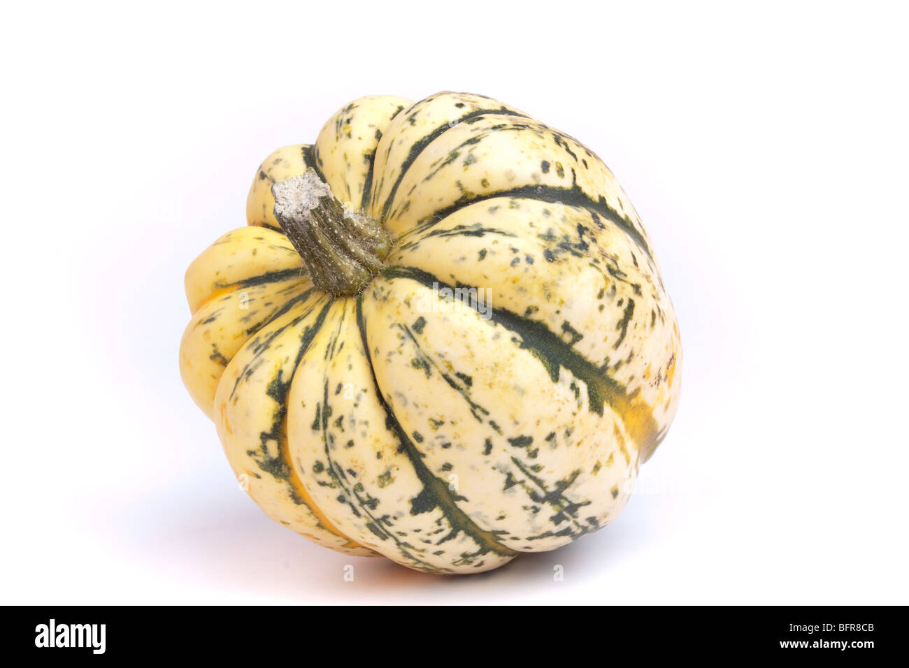 Jazzige Harlequin Squash auf weißen Hintergrund isoliert. Stockfoto