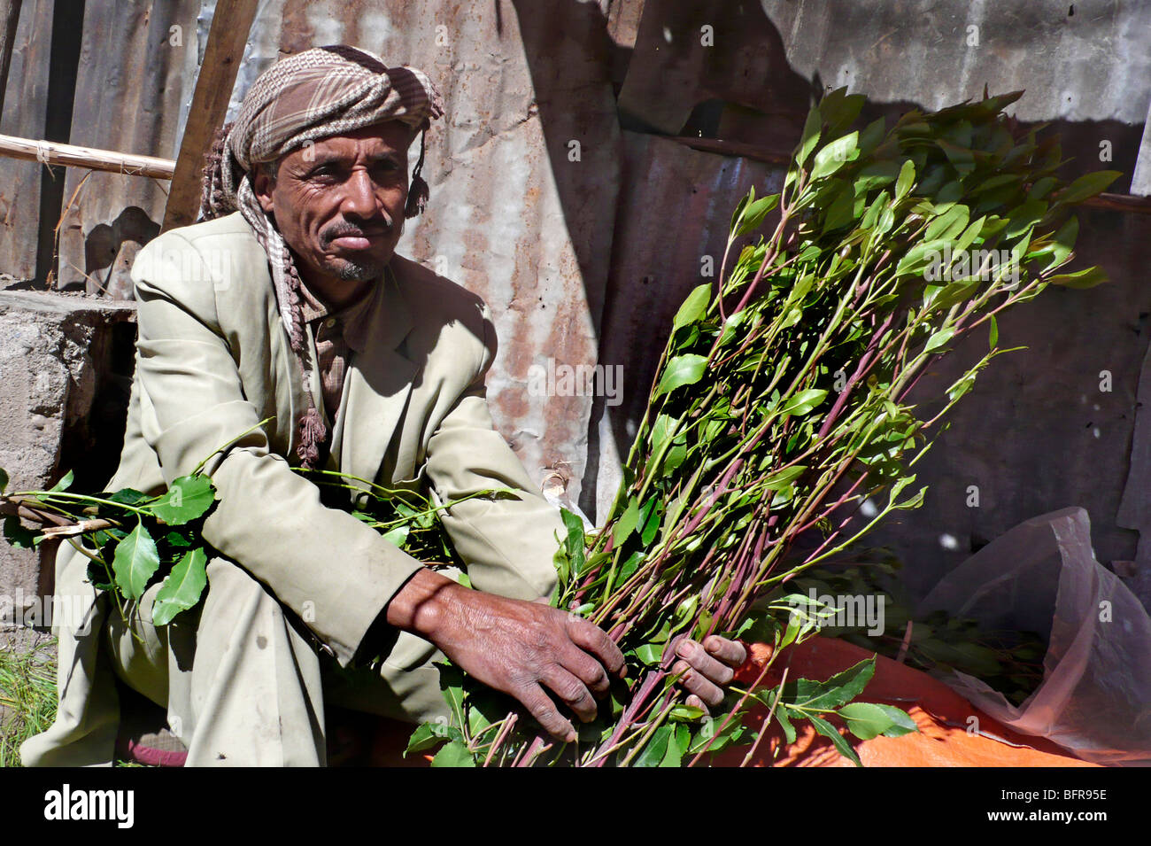 Mann am Straßenrand verkaufen frische Qat ein mildes Betäubungsmittel Stockfoto