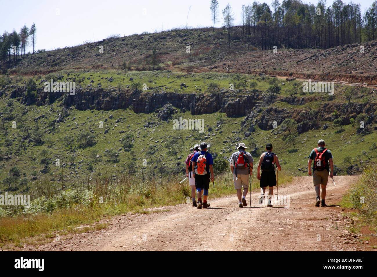 Wanderer auf dem Fanie Botha Wanderweg zu Fuß hinauf in Richtung Mount Moody Stockfoto