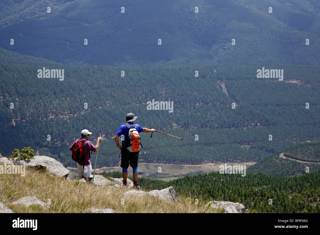Ein Wanderer zeigt in einem bewaldeten Tal unten Stockfoto