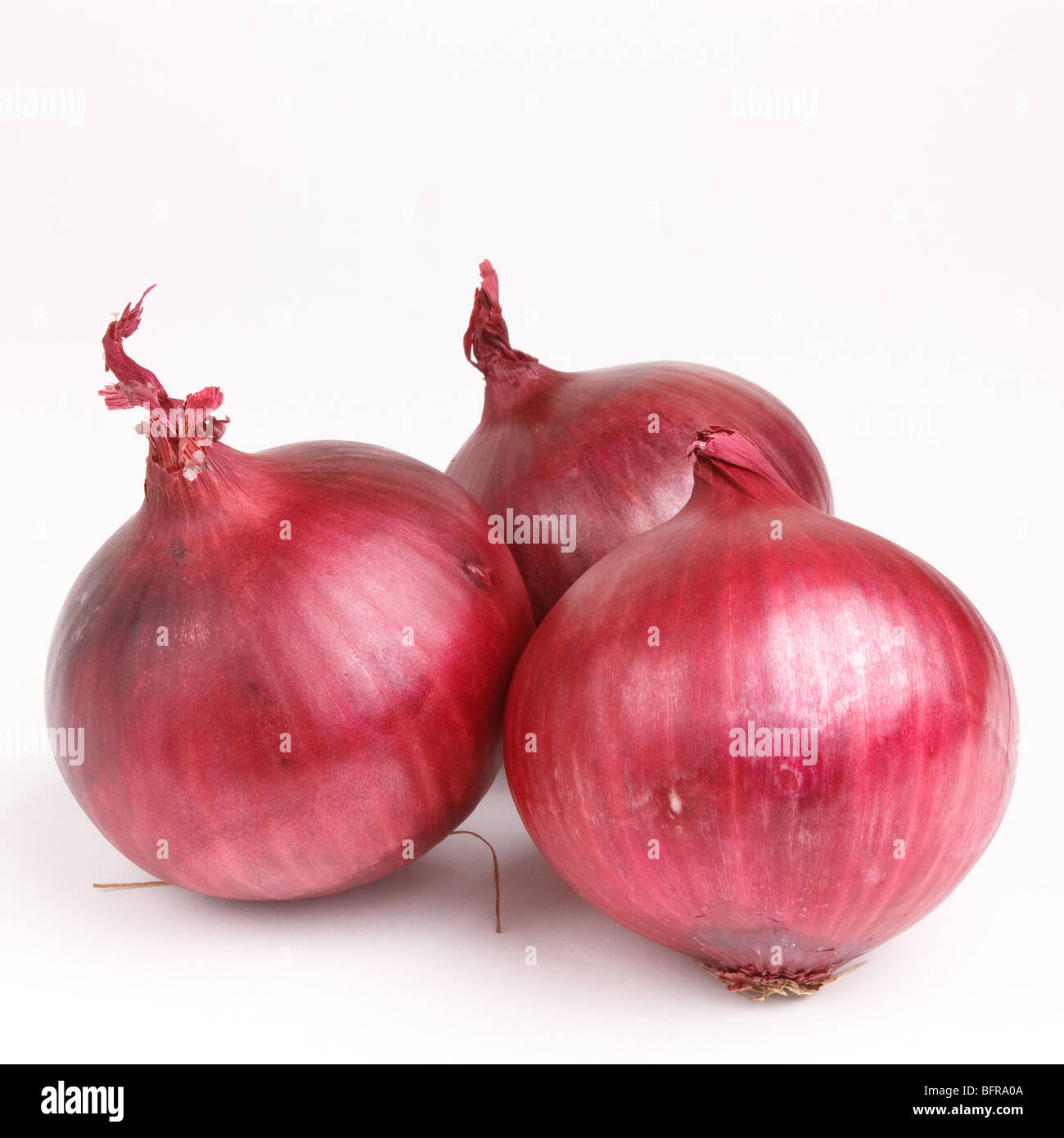 Lebhafte rote Salat Zwiebel auf weißen Hintergrund isoliert. Stockfoto