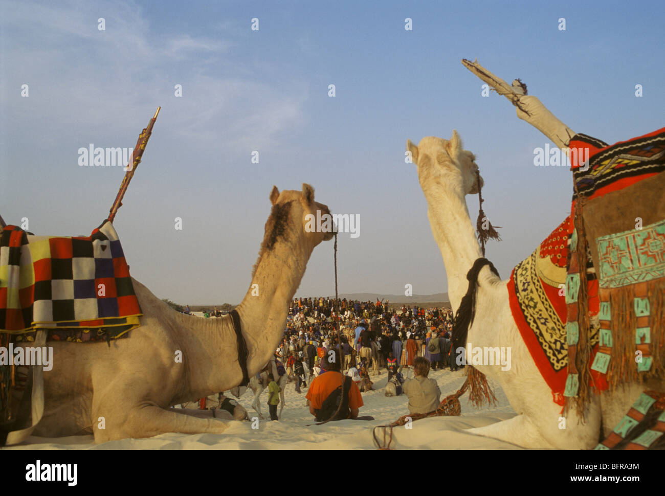 Tuareg Tribesmen Besucher des Festivals der Wüste außerhalb Timbuctou