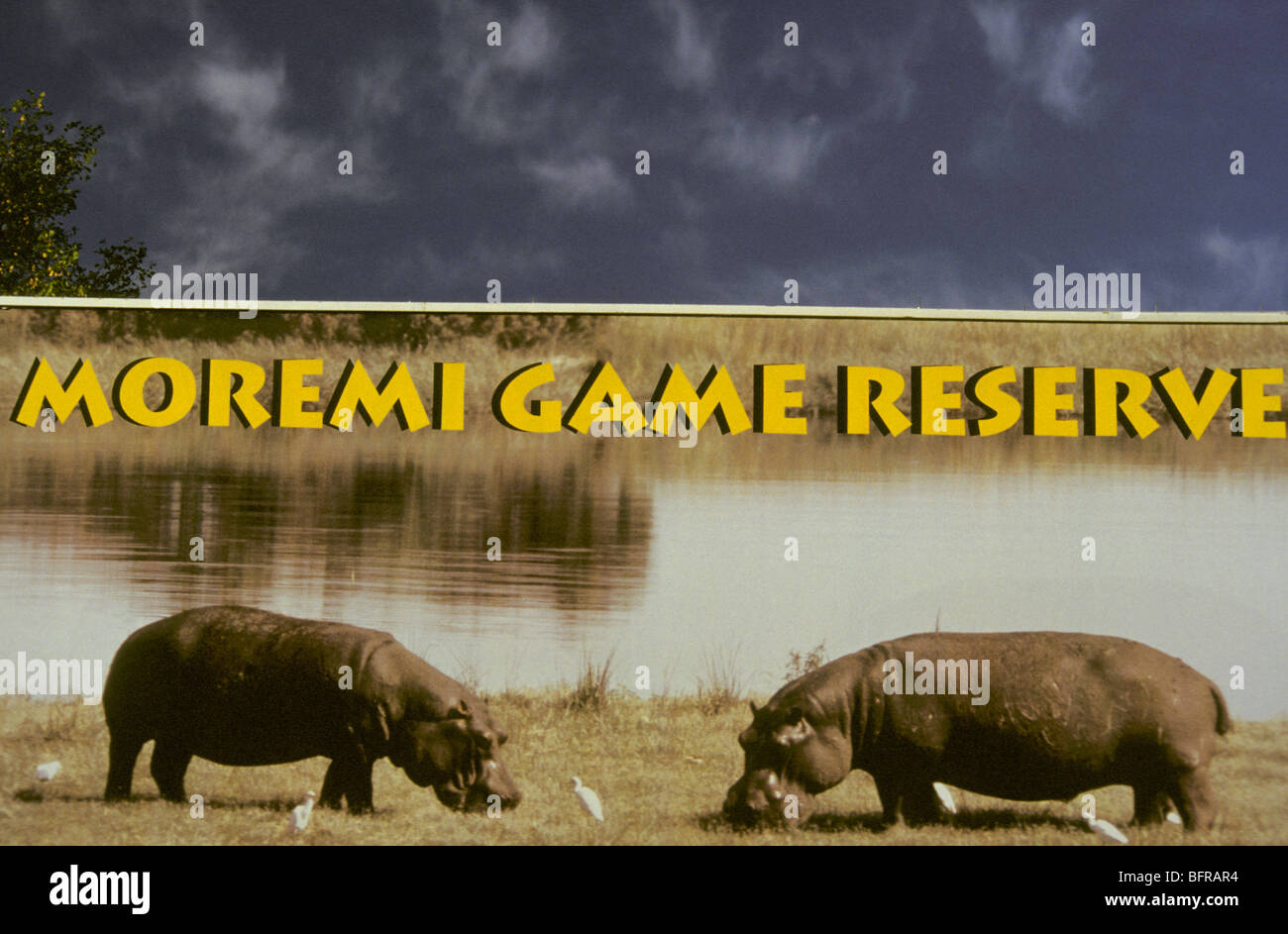 Plakatwerbung das Moremi Game Reserve Stockfoto