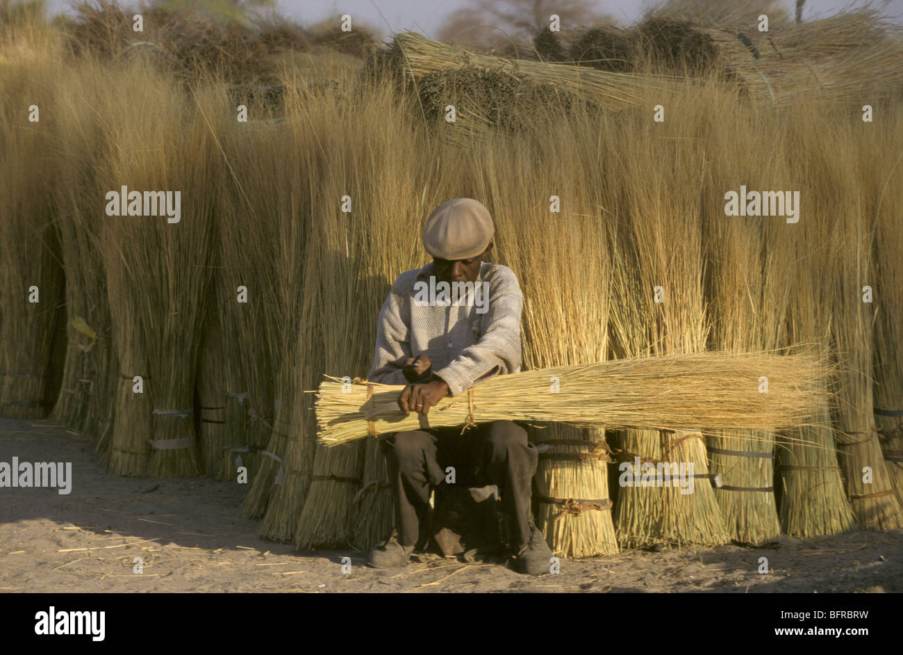 Ein Rasen-Cutter bündelt Grases, das für thatching Dach verkauft werden. Stockfoto