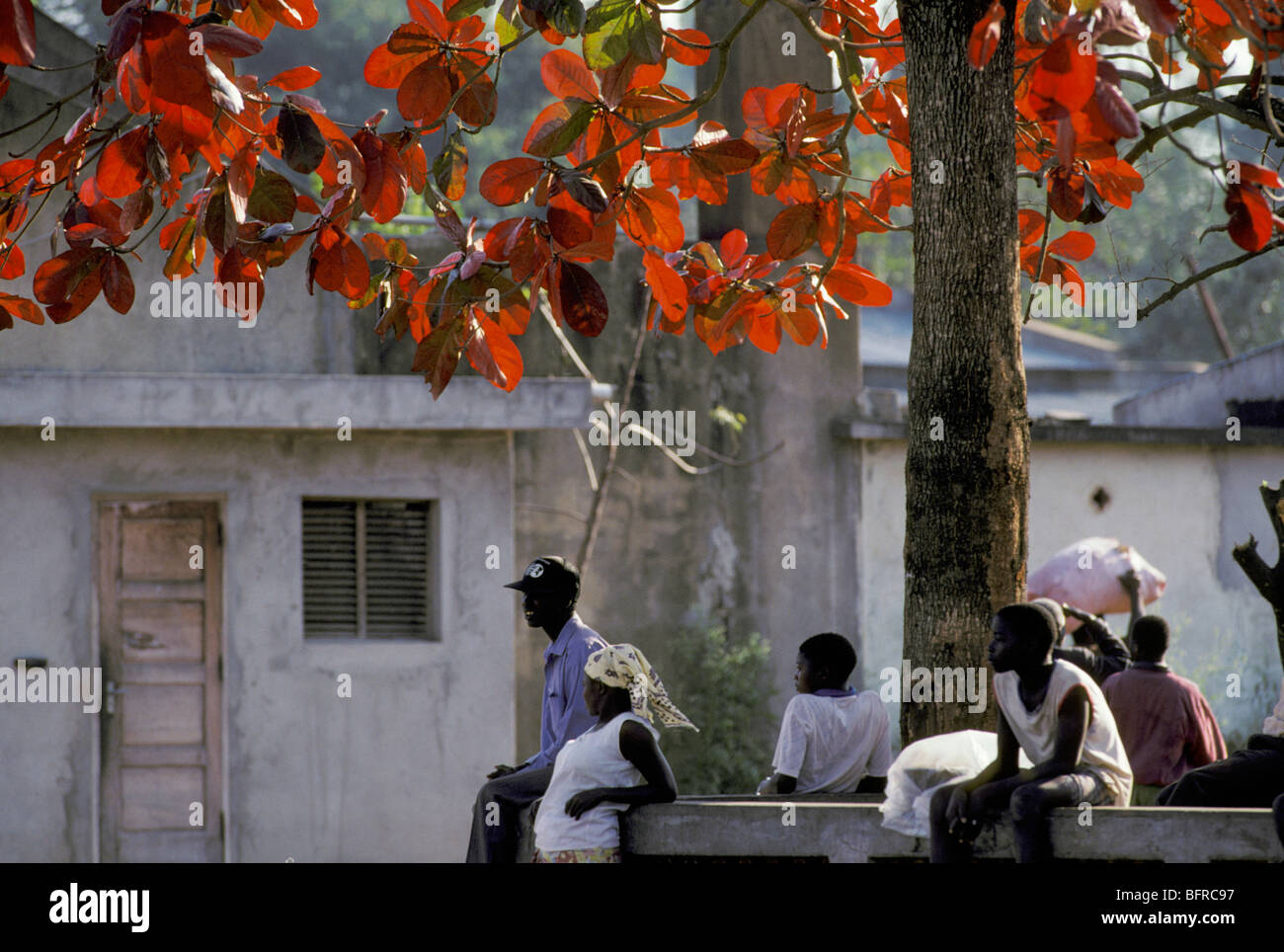 Lokale Leute sitzen unter einem Baum mit roten Blättern, die einen Bus warten Stockfoto