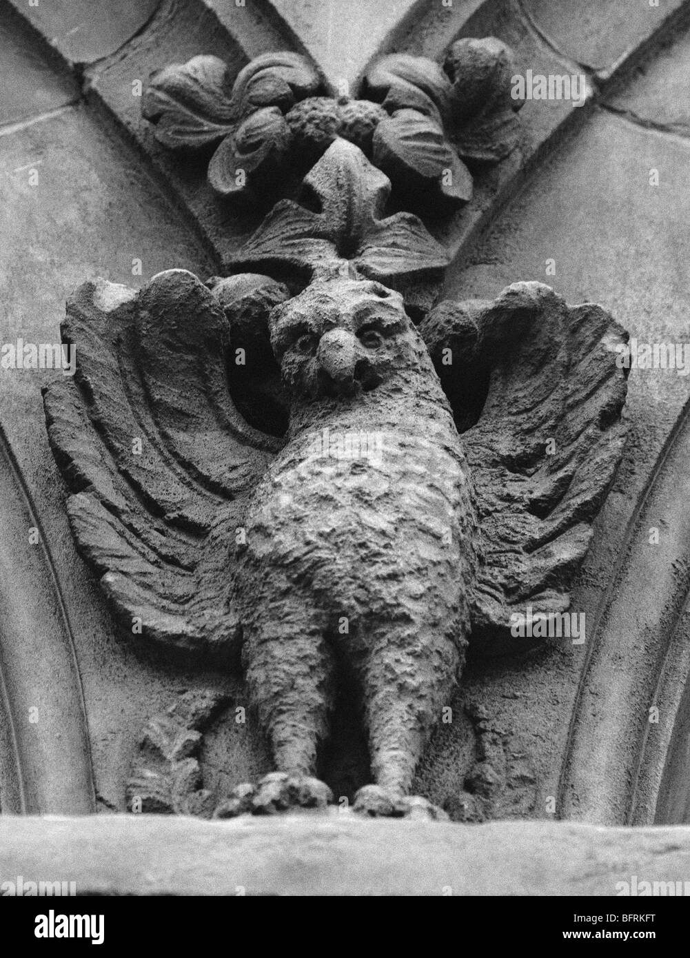 Mauerwerk Schnitzen von einem Papagei gargoyle Stockfoto