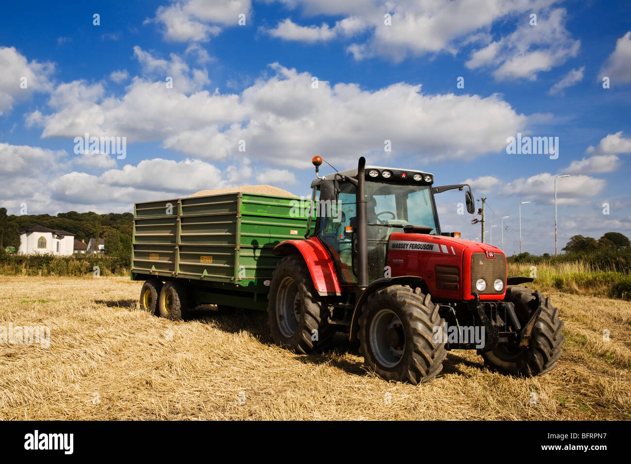 Eine Zugmaschine und Anhänger sammeln Getreide in einem Feld, Schottland. Stockfoto