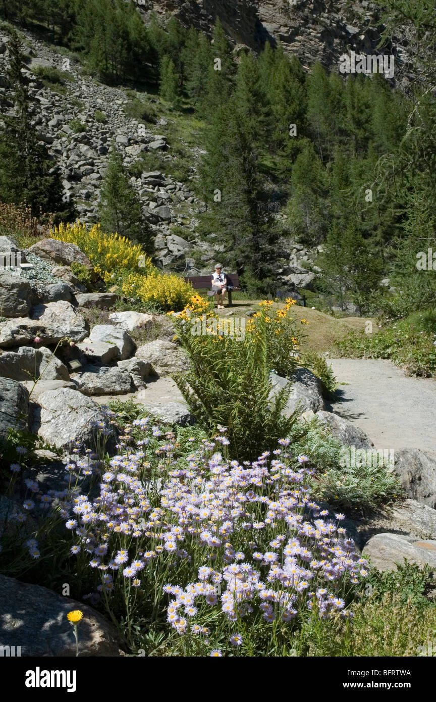 Parco Nazionale Gran Paradiso, Giardino Botanico Alpino Paradisia, Cogne, Aostatal, Italien Stockfoto