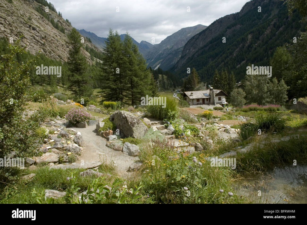 Parco Nazionale Gran Paradiso, Giardino Botanico Alpino Paradisia, Cogne, Aostatal, Italien Stockfoto