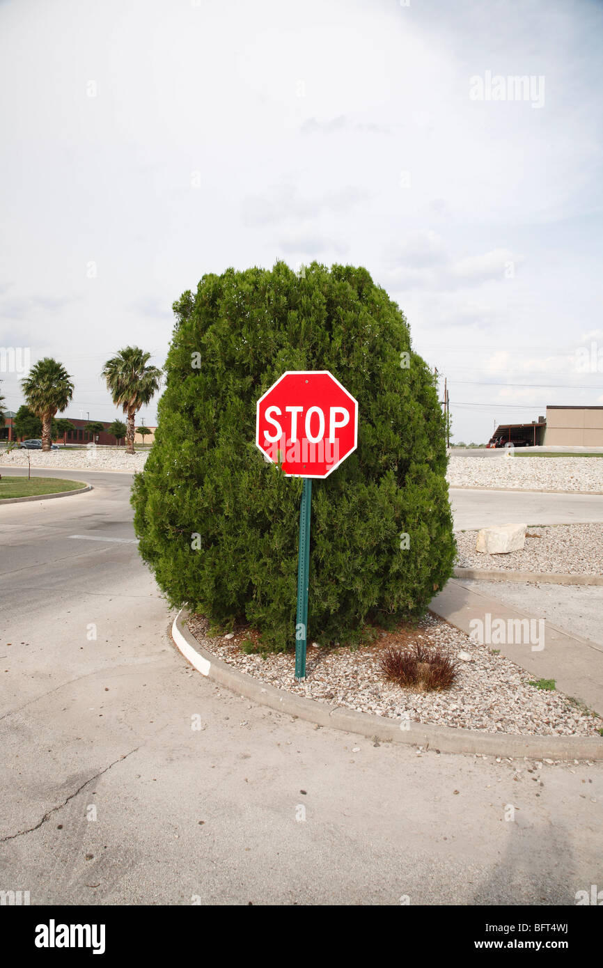 Stoppschild von Bush, Del Rio, Val Verde County, Texas, USA Stockfoto