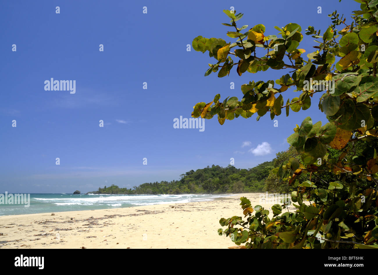 Karibik von Bastimentos Insel in der Nähe von Bocas Del Toro Panama Stockfoto