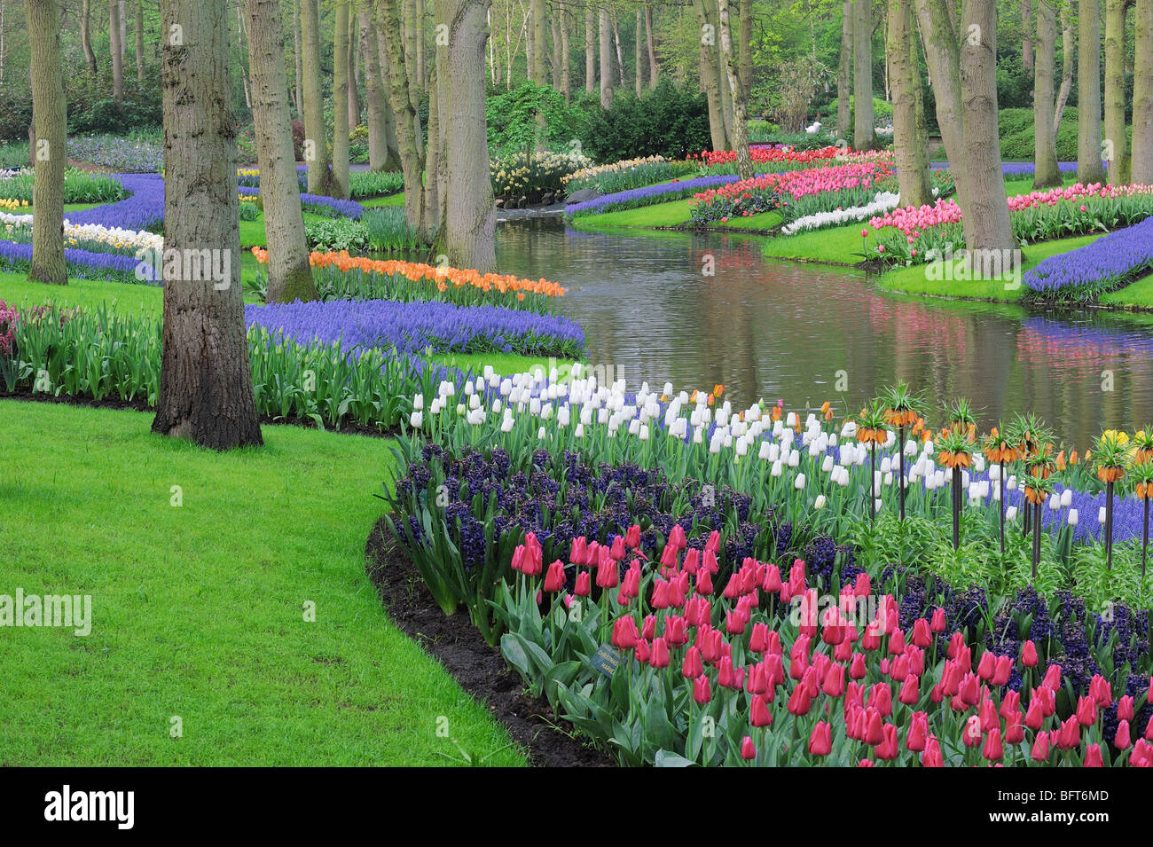 Keukenhof gardens Fotos und Bildmaterial in hoher Auflösung Alamy