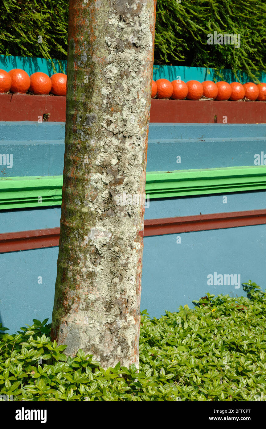 Bunte oder farbenfrohe blaue, grüne, lila und orange Wand und Reihe von Bäumen, Tiger Balm Gardens Chinese Theme Park oder Public Garden Singapore Stockfoto
