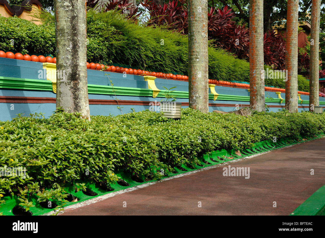 Bunte oder farbenfrohe blaue, grüne, lila und orange Wand und Reihe von Bäumen, Tiger Balm Gardens Chinese Theme Park oder Public Garden Singapore Stockfoto