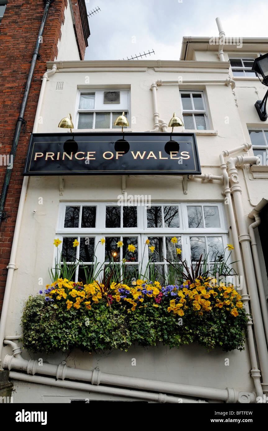 Prince Of Wales Pub mit Fenster-Box entnommen Teich Square Highgate Village London England UK Stockfoto