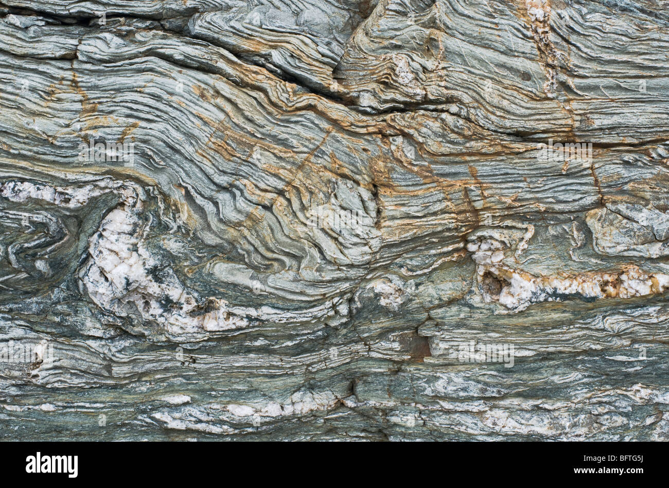 Stark deformiertes Gestein mit komplexer Faltung in Trearddur Bay bei Holyhead, Anglesey, Wales Stockfoto