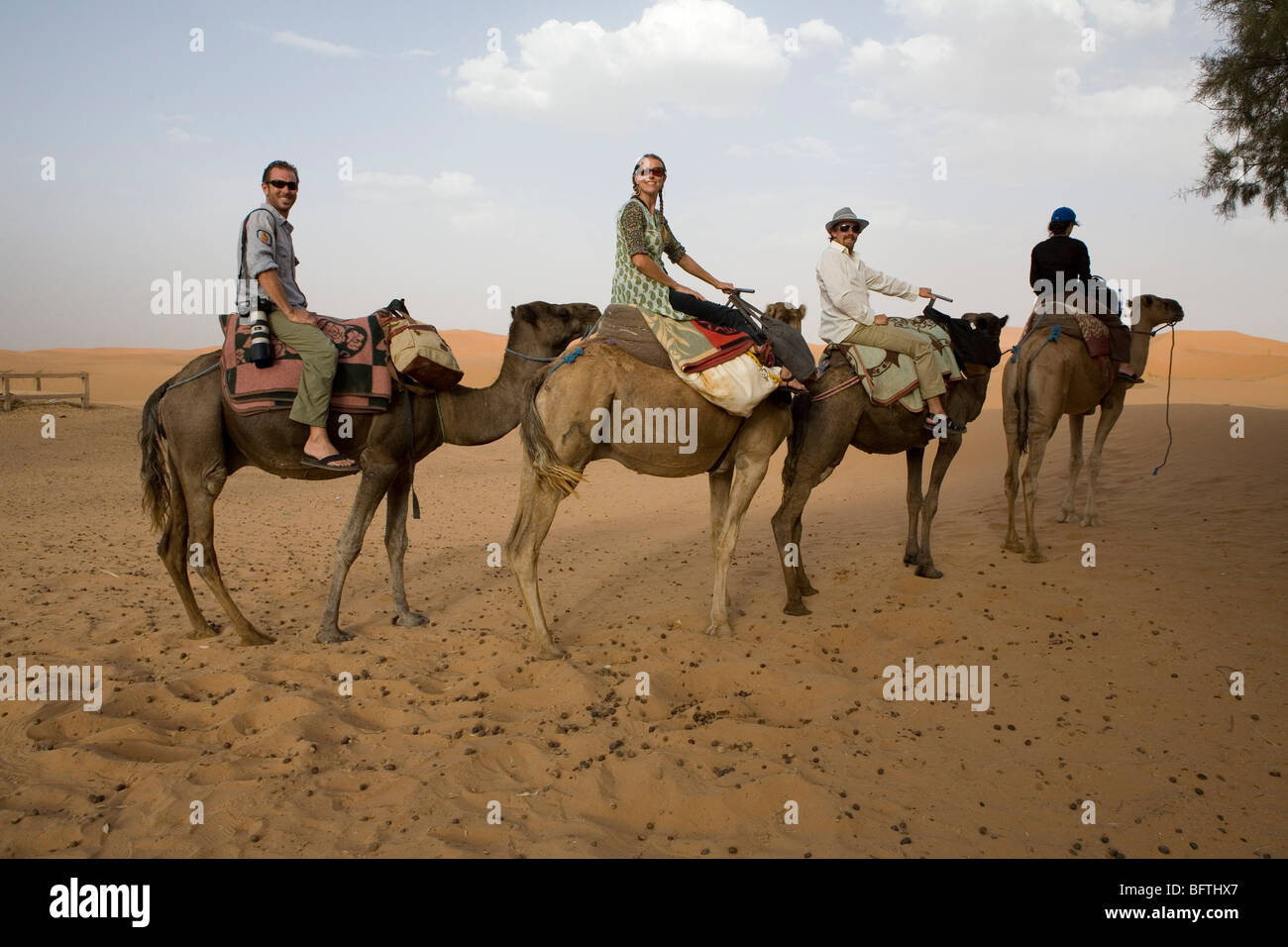 Reisen in der Sahara Stockfoto